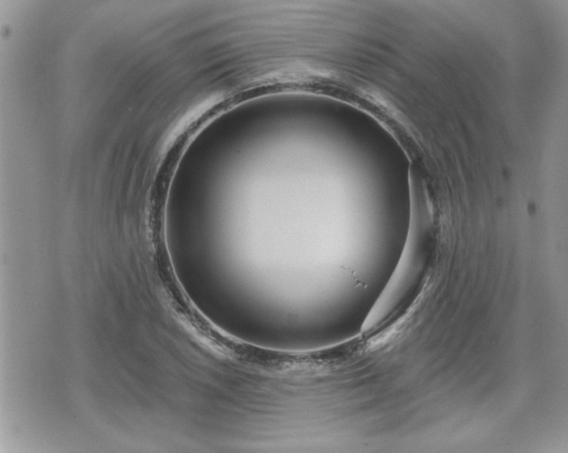 X0000070401026200606161340