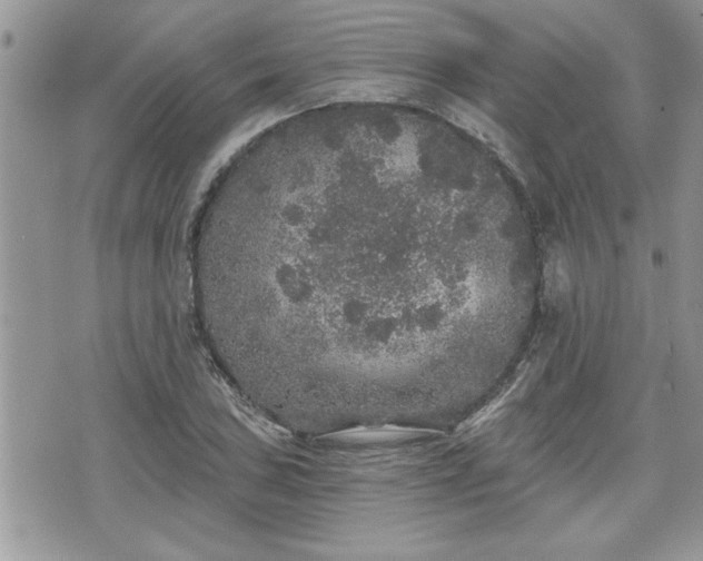 X0000070401027200606161340