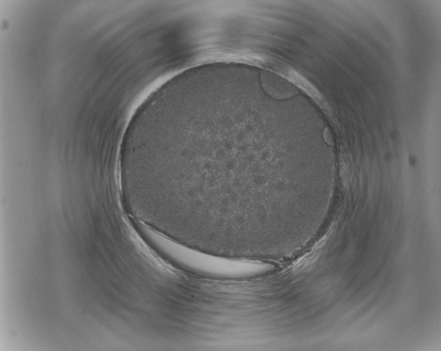 X0000070401028200606161340