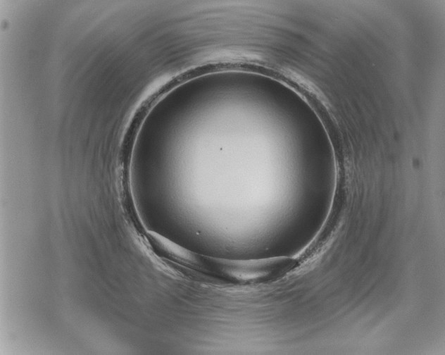 X0000070401029200606161340