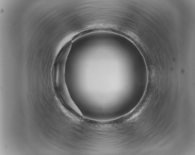 X0000070401030200606161340