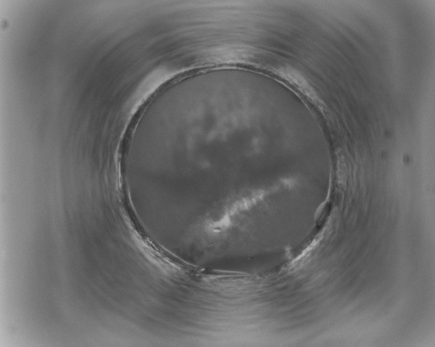 X0000070401031200606161340