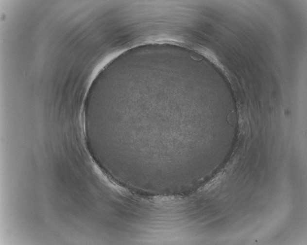 X0000070401032200606161340