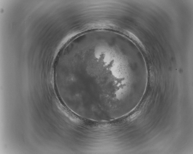 X0000070401035200606161340