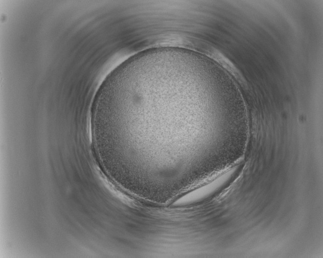 X0000070401036200606161340