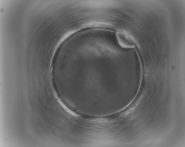 X0000070401037200606161340