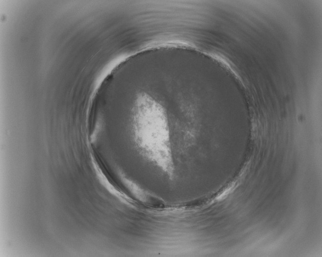 X0000070401038200606161340