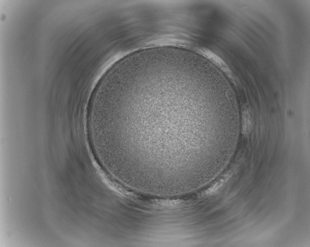 X0000070401039200606161340