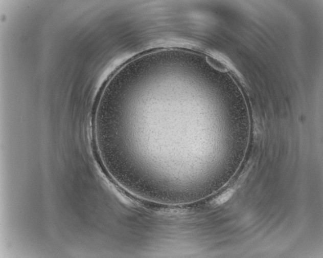 X0000070401040200606161340