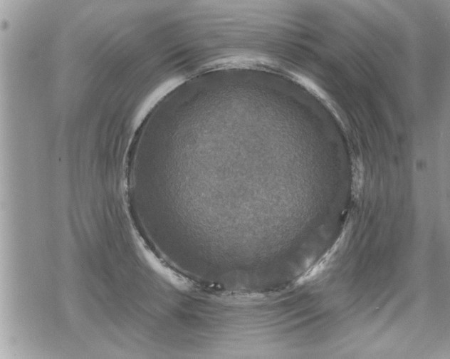 X0000070401042200606161340