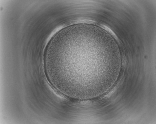 X0000070401043200606161340