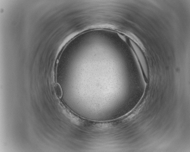 X0000070401044200606161340