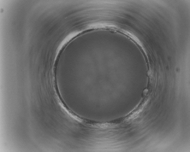 X0000070401045200606161340