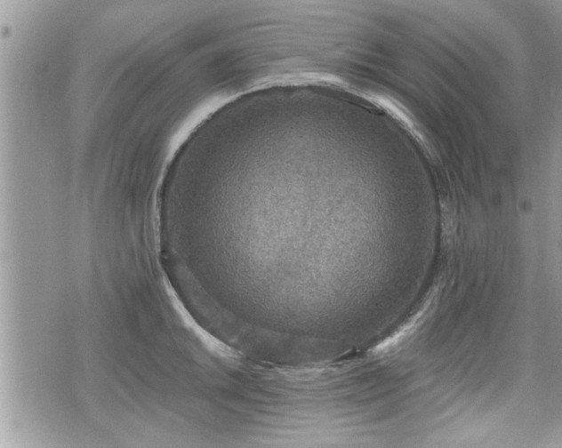 X0000070401046200606161340