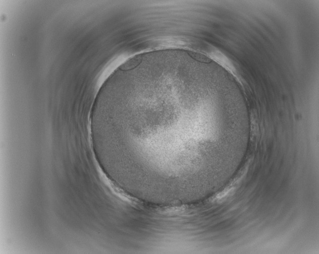 X0000070401047200606161340