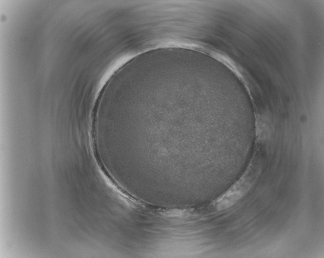 X0000070401048200606161340