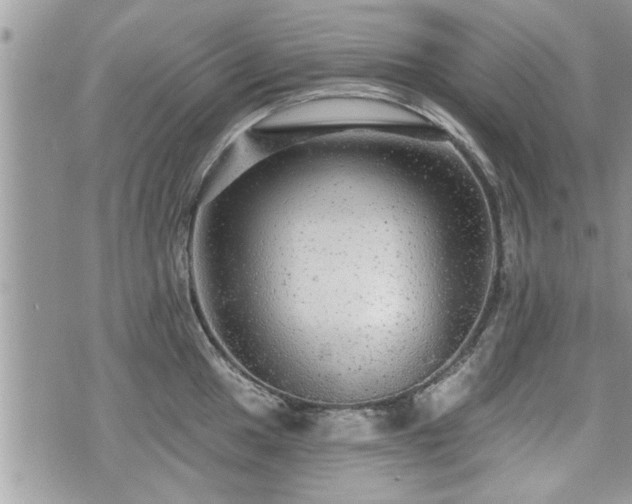 X0000070401049200606161340