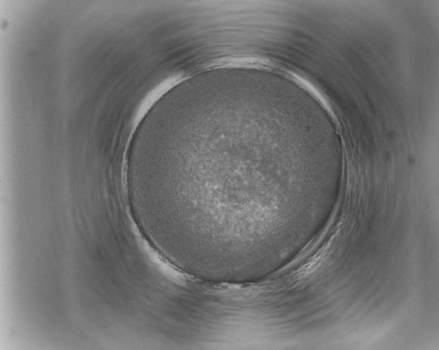 X0000070401050200606161340