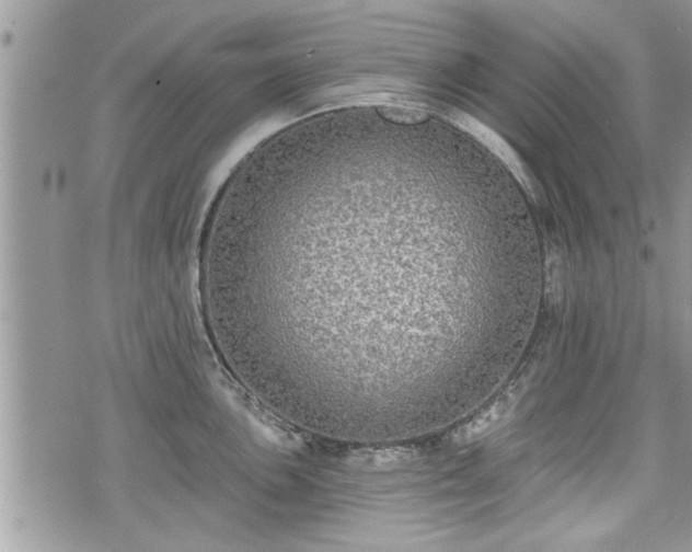 X0000070401051200606161340