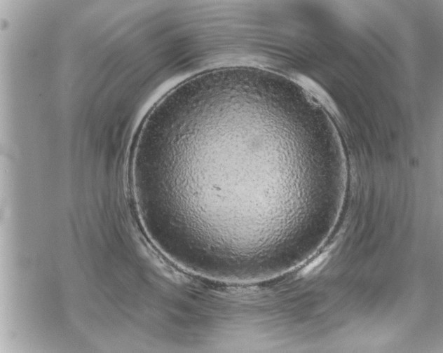 X0000070401052200606161340