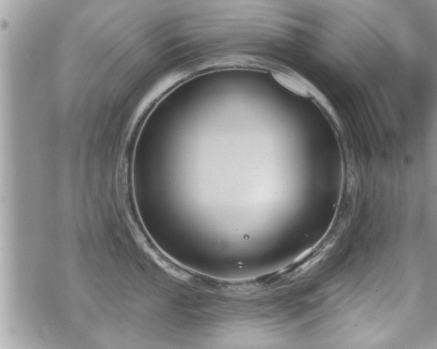 X0000070401053200606161340