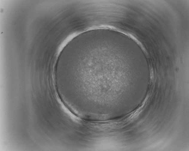 X0000070401054200606161340