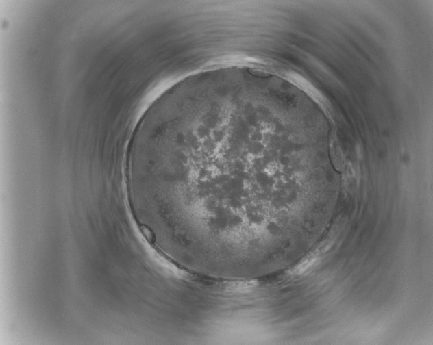 X0000070401055200606161340