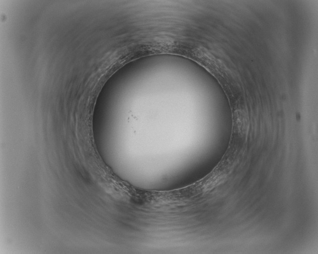 X0000070401057200606161340