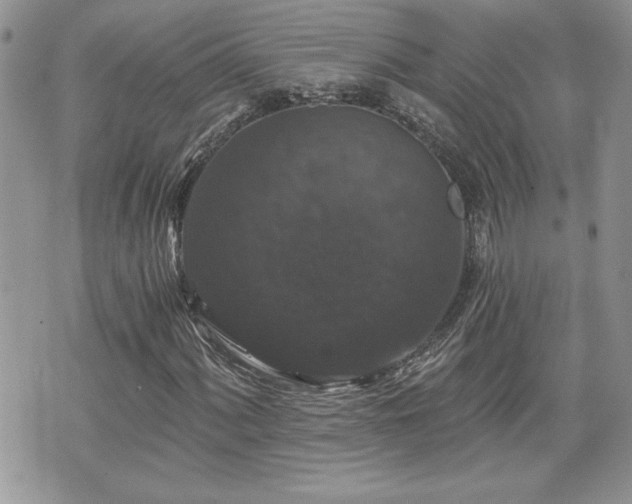 X0000070401060200606161340