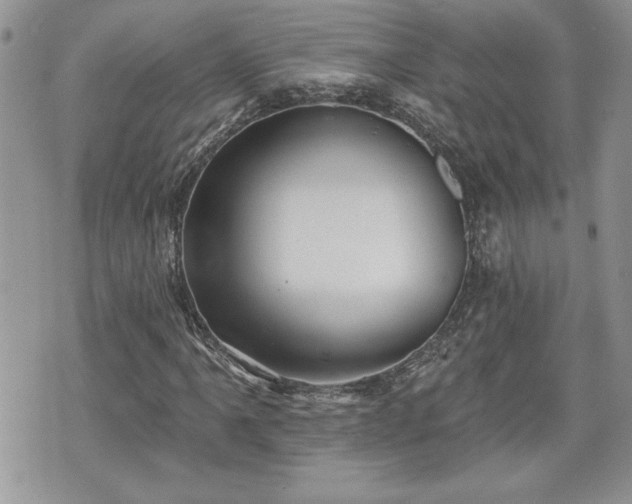 X0000070401061200606161340