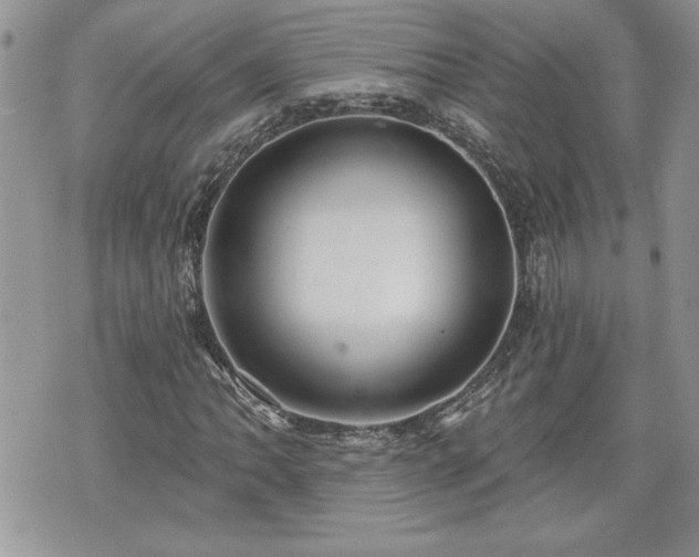 X0000070401062200606161340