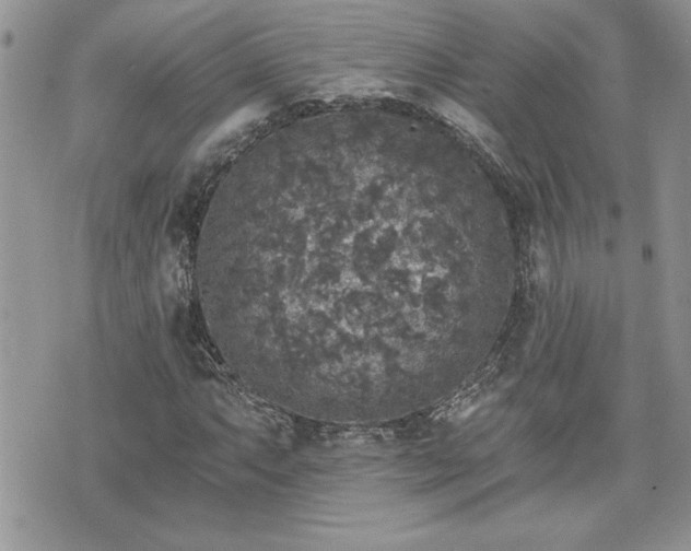 X0000070401063200606161340