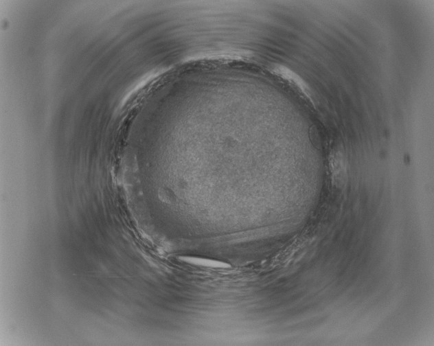 X0000070401064200606161340