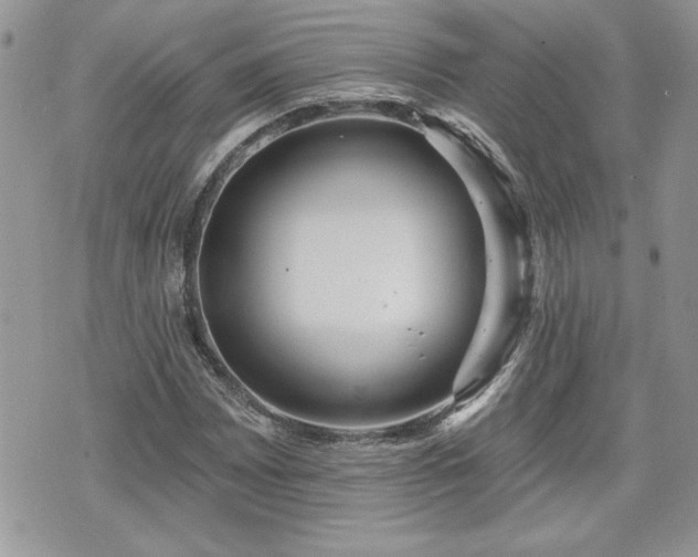 X0000070401065200606161340