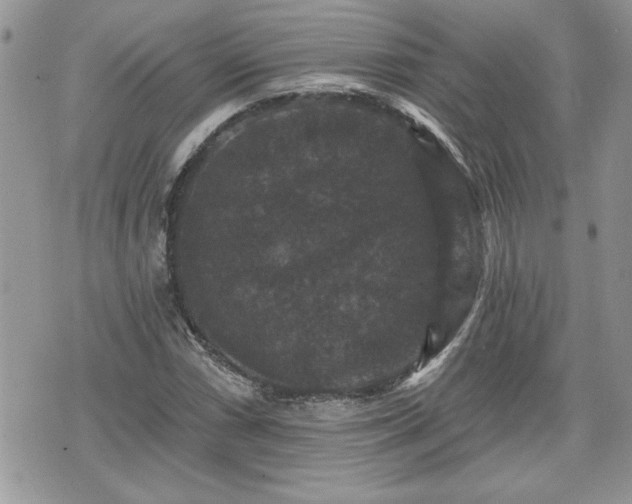 X0000070401066200606161339