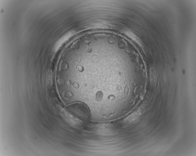 X0000070401067200606161339