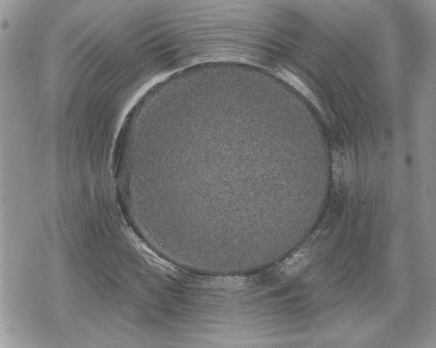 X0000070401068200606161339