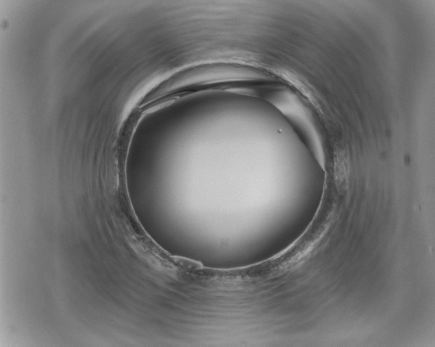 X0000070401069200606161339