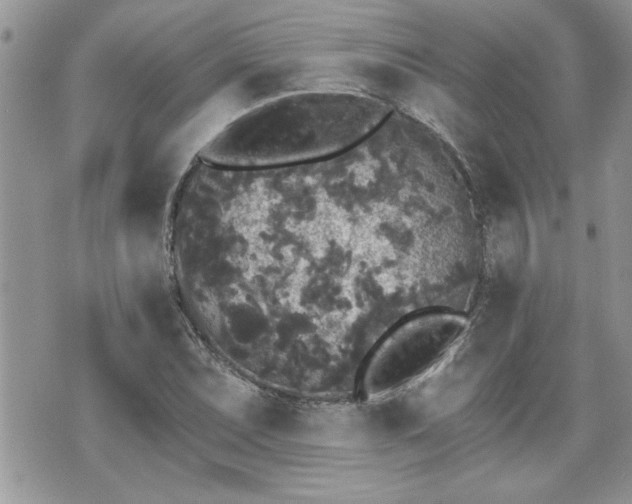 X0000070401071200606161339