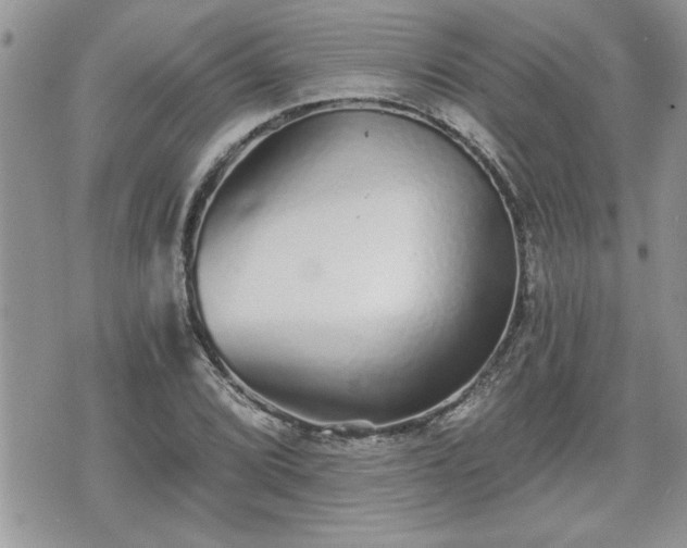 X0000070401072200606161339