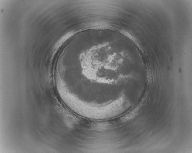 X0000070401074200606161339