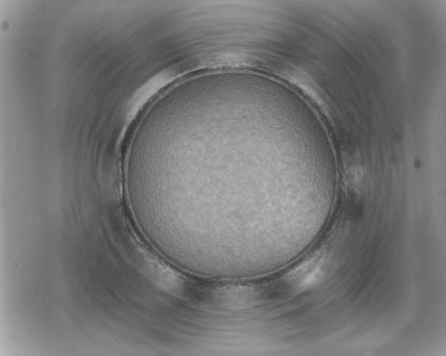 X0000070401075200606161339