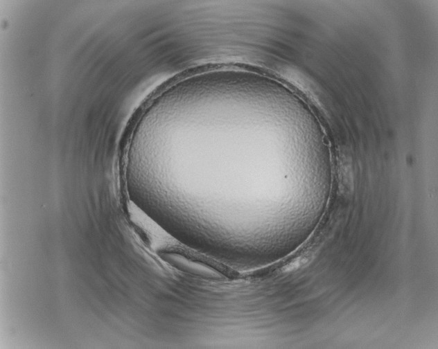 X0000070401076200606161339