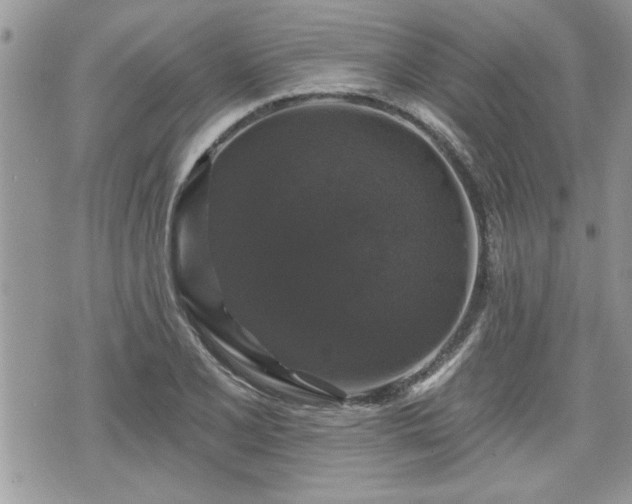 X0000070401077200606161339