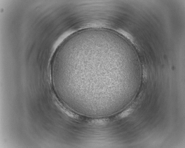 X0000070401078200606161339