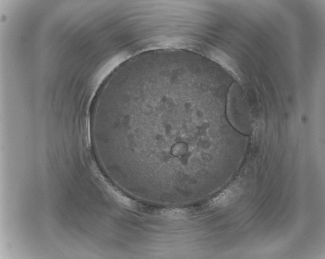 X0000070401079200606161339