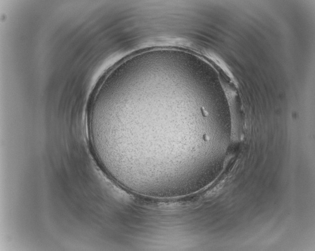 X0000070401080200606161339