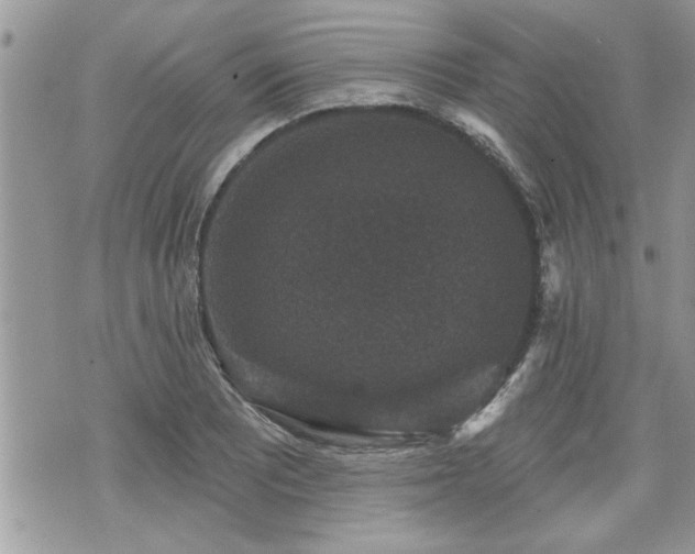 X0000070401081200606161339