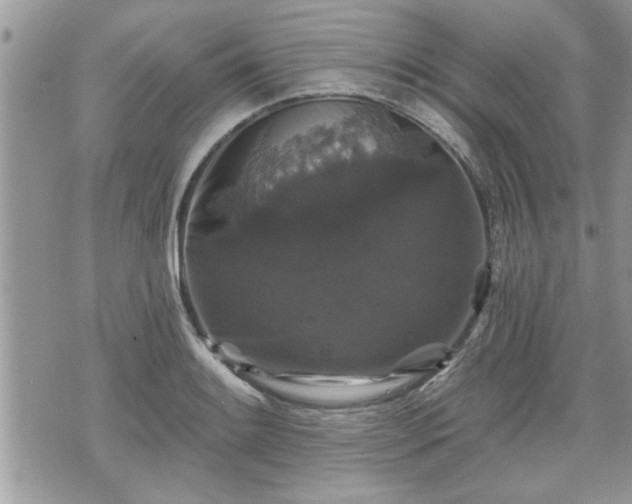 X0000070401084200606161339