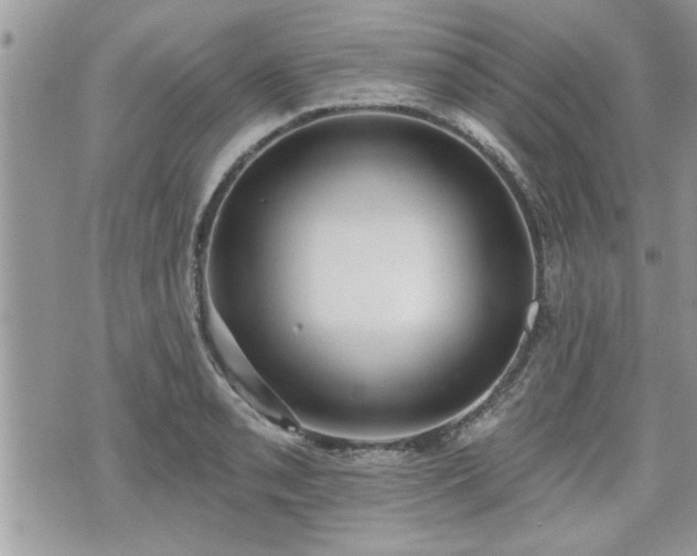 X0000070401085200606161339